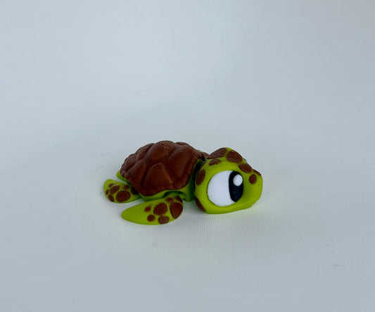Sammy the Sea Turtle