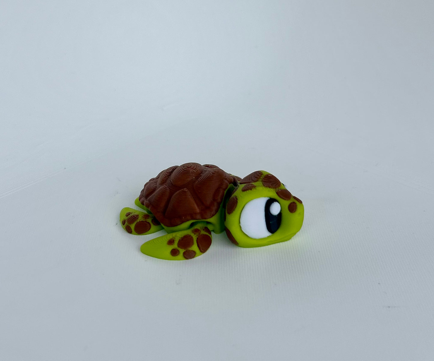 Sammy the Sea Turtle