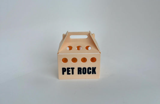 Pet Rock Carrier
